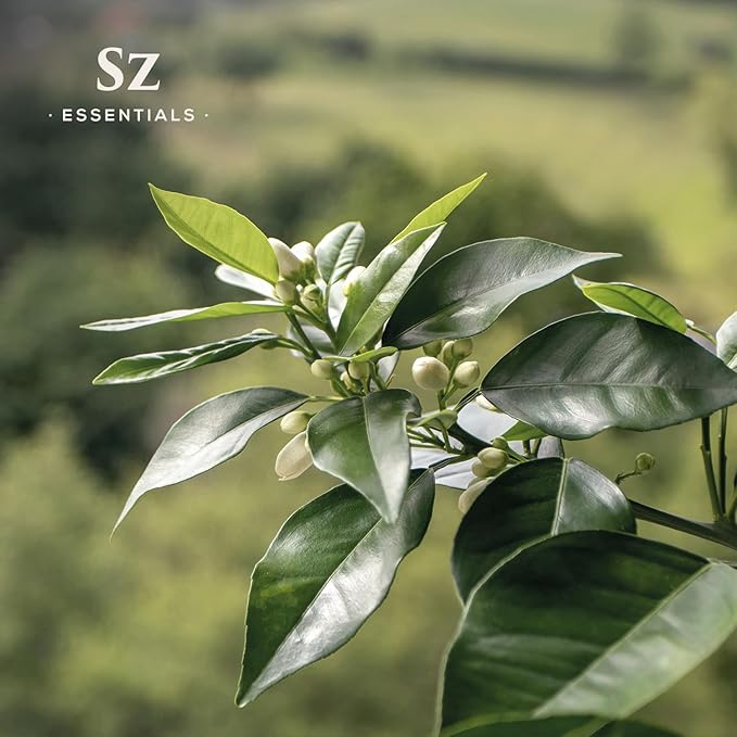 Petitgrain Sur Fleurs Essential Oil - 100% Pure and Undiluted - Extracted from Neroli-Bitter Orange Tree - Citrusy & Woody Scent with Fresh Neroli Floral Overtones - Therapeutic Grade