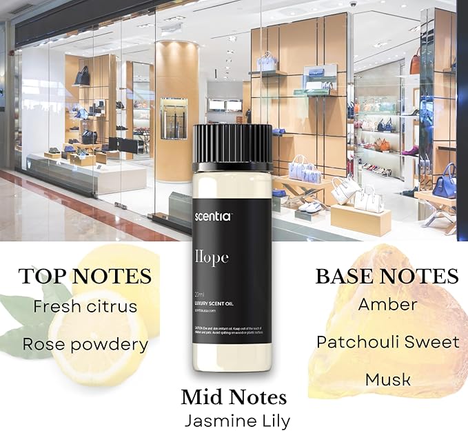 Perfume-Inspired Essential Oil Set – 3×20 ml Diffuser Oils with Floral & Woody Notes | Designer Fragrance Blends for Home, Spa & Aromatherapy - Thanksgiving & Holiday Gift