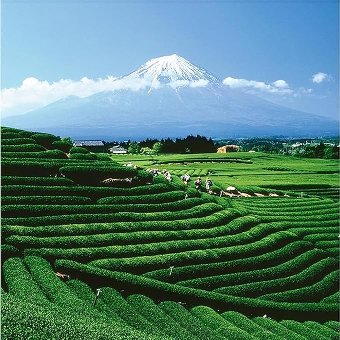 Palais des Thés - Tibetan Monks - Black & Green Tea Floral Blend - Premium Tea Bags, Serves 20 Cups