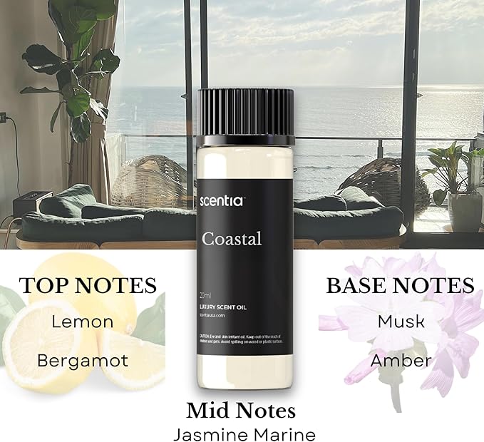 Scentia Diffuser Oil|Inspired by Luxury 5 Star Resorts | Aromatherapy Fragrance Oil | Notes of Cardamom, Leather Cinnamon & Sandalwood, Essential Oil Blend Gift Set - 3 x 20 ml -The 1 Hotel, W Hotel