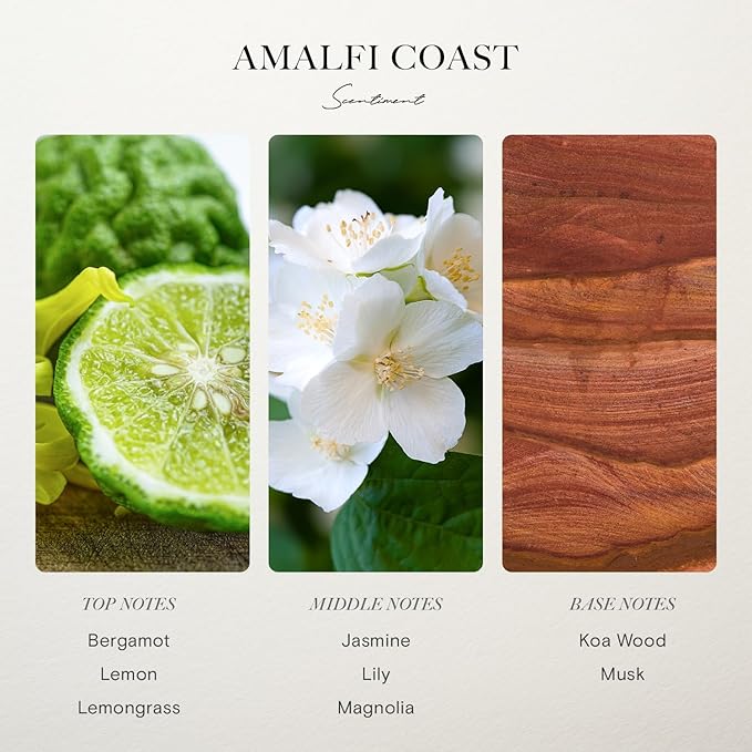 Scentiment Diffuser Oil - Amalfi Coast | Aromatherapy Fragrance | Inspired by Luxury Five Star Hotels | Notes of Bergamot, Lemongrass, Jasmine, Lily, Magnolia & Koa Wood (120 mL)
