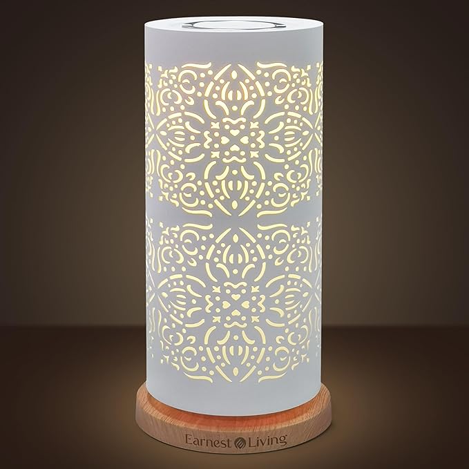 Earnest Living Waterless Diffuser 100ml Nebulizing Diffusion System for Studio Home Office Hotel Spa