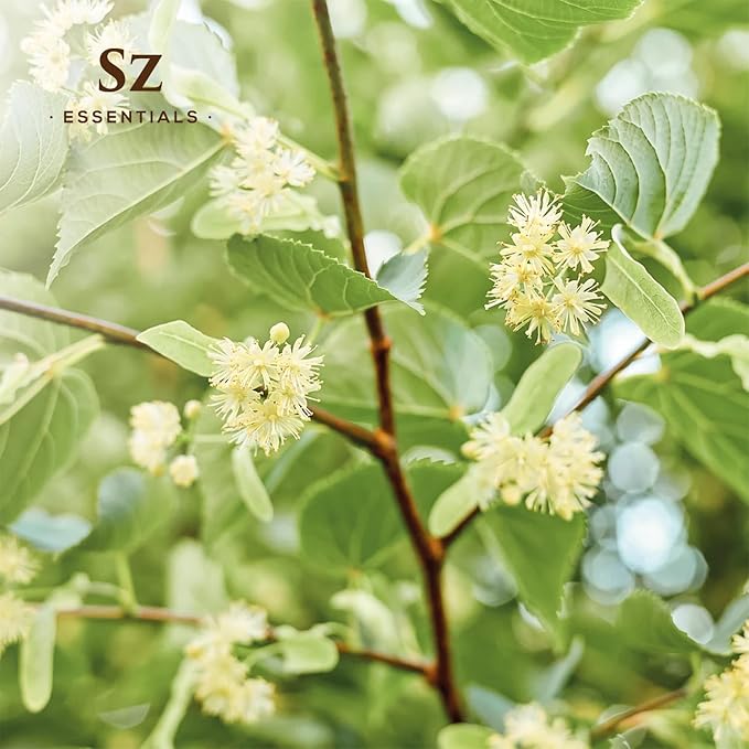 Linden Blossom Absolute Essential Oil – 100% Pure & Natural – Undiluted Tilia vulgaris Extract – Floral Aromatherapy Oil – Vegan & Therapeutic Grade – 0.17 fl oz. (5 mL)