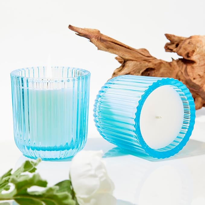 Hillhouse Naturals Outdoor Seaside Citronella 8oz Candle Colored Glass 50+ Hour Burn. 100% Soy Wax Blend. Made in The USA