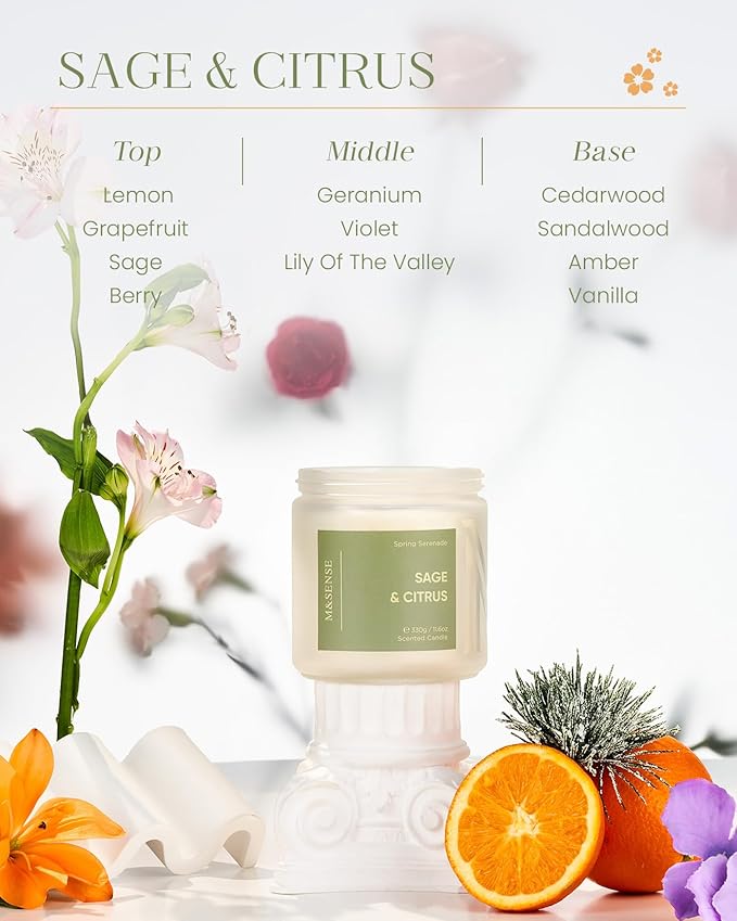 M&SENSE Sage Citrus Scented Candle - 11.6oz Natural Soy Non Toxic 70 Hour Burn Time 2 Wick Aromatherapy Candle for Home Decor, Summer Fragrance for Stress Relief & Relaxation