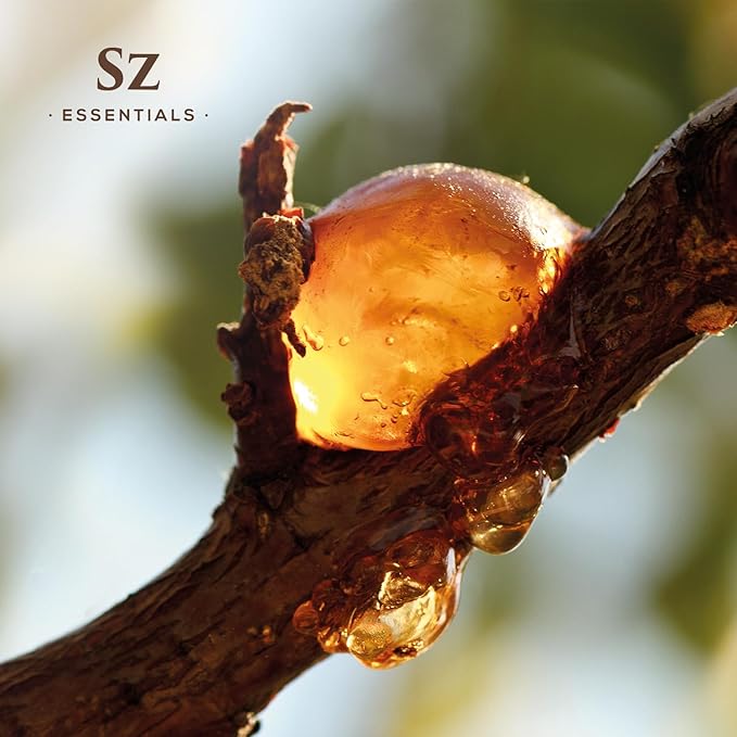 Elemi Essential Oil (Canarium Luzonicum) - 100% Pure and Undiluted - Fresh, Citrusy & Spicy Scent with Subtle Balsamic and Peppery Undertones - Therapeutic Grade & Vegan -0.17 oz (5ml)