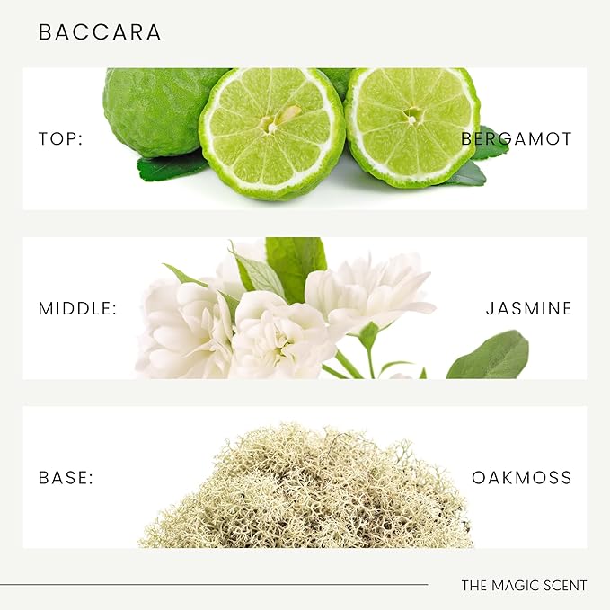 The Magic Scent Baccara Diffuser Oil - Hotel & Home Luxury Scents Inspired by Baccarat Rouge - Diffuser Oil Scents for Home Designed for Use in All Diffusers - 16.9 fl oz, 500 mL