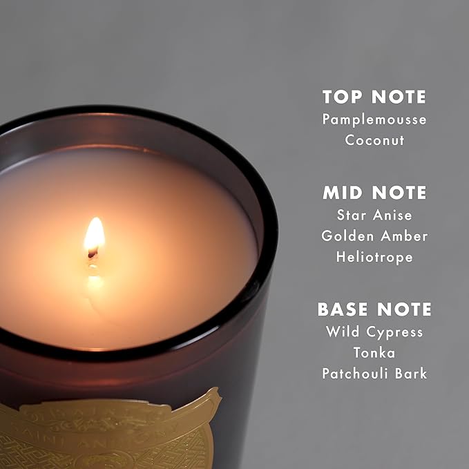 SAINT Anthony of Padua Scented Candle with Prayer and Prayer Coin, Saint of Finding Love and Lost Articles, Soy Coconut Aromatherapy Candle with 80 Hour Burn Time, Special Edition
