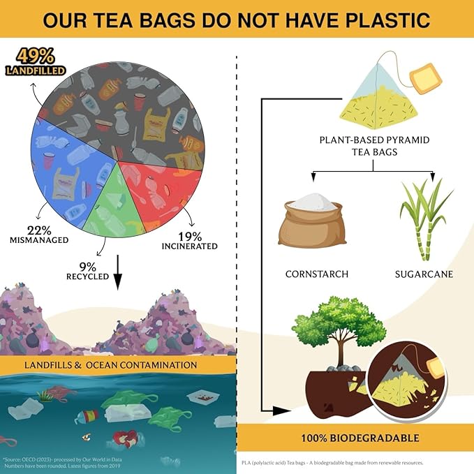 BREWIX, Turmeric Ginger Herbal Tea Bags (20 Pyramid Tea Bags) Real Ingredients From India, Naturally Caffeine Free | Pure Herbal Blend | Packed in Resealable Ziplock Pouch