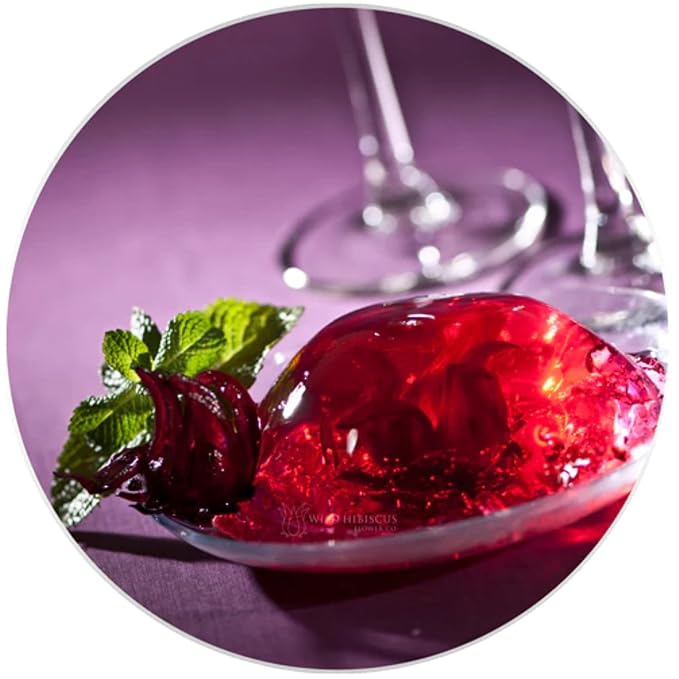 Wild Hibiscus All-Natural Hibiscus Cocktail Concentrate | 3.4 fl oz (100 ml) Bottle | Premium Mixer for Cocktails, Mocktails & Gourmet Drinks