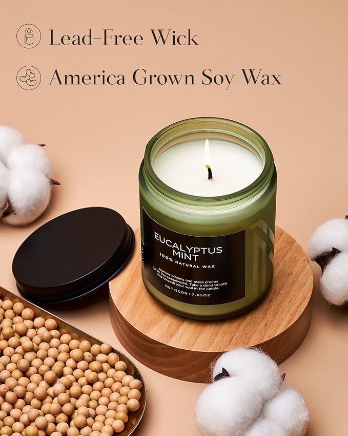 M&SENSE Eucalyptus & Mint Candles for Home Scented, Clean Non Toxic Aromatherapy Candle Gift 7.05oz 50 Hours Burn for Stress Relief Meditation Yoga Relaxing SPA