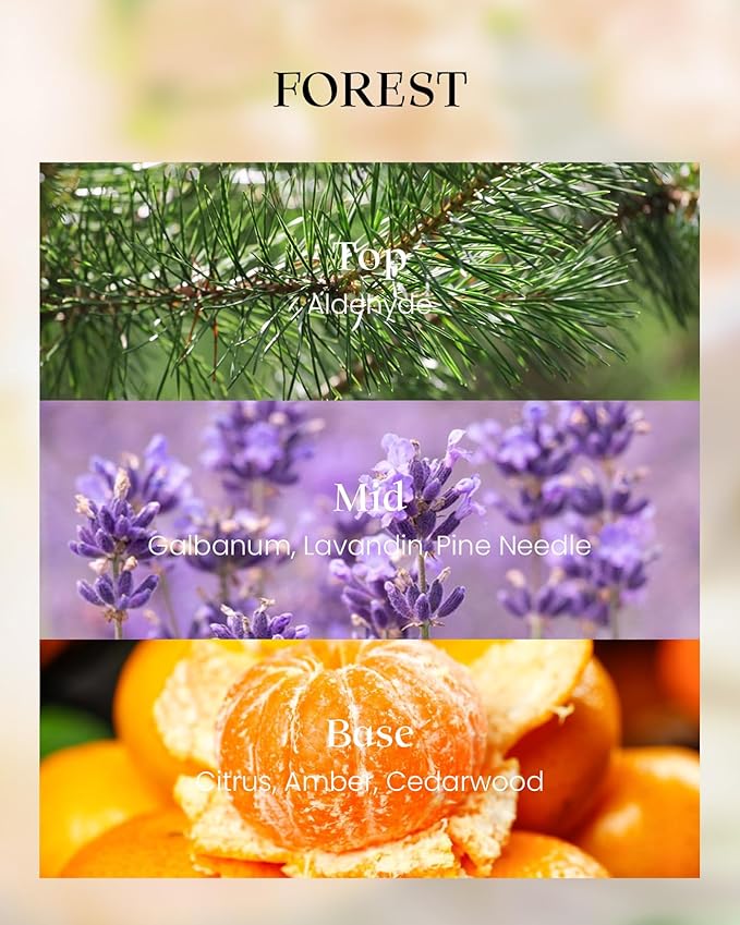 M&SENSE Forest Scented Vegan Soy Candles, 8.1oz 42-Hour Slow Burning Non Toxic, Winter Aromatherapy Candle for Bathtub Calming, Home Fragrance Housewarming New Year Gifts