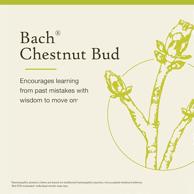 Bach Original Flower Remedies, Chestnut Bud (Non-Alcohol Formula) - Learn from Mistakes - Natural Homeopathic Flower Essence for Emotional Balance - Vegan, Gluten Free, Sugar Free - 10mL Dropper