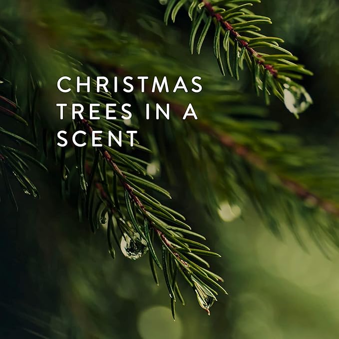 Thymes Frasier Fir Candle - Gilded Collection - Wood Grain Ceramic Design with 24-Karate Gold Rim - Mountain Fresh Fragrance - Elegant Winter Candle Scents - Gifts for Women & Men (Medium, 11 oz)
