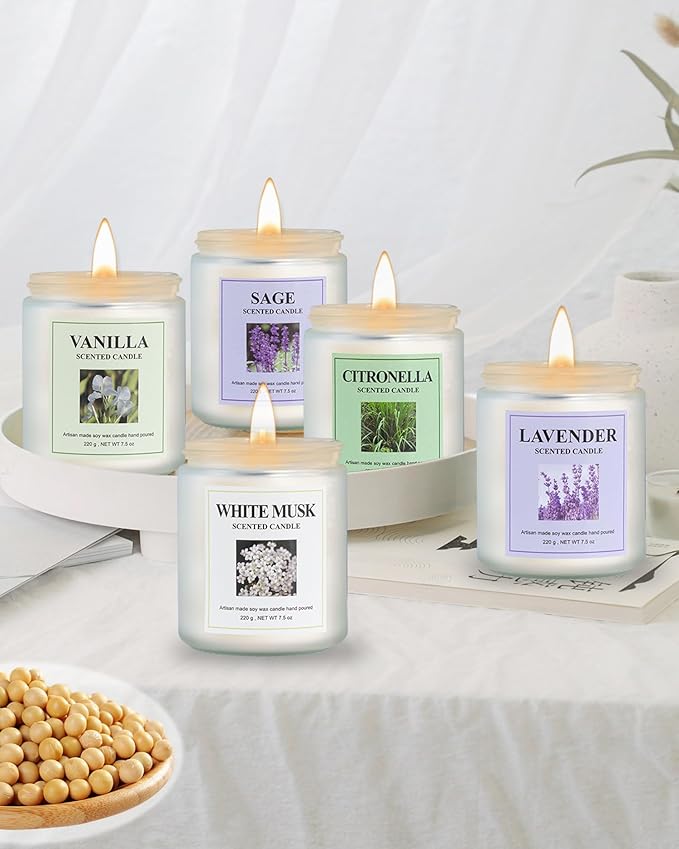 4 Pack Citronella Candle Set, 30 oz 200 Hour Home Aromatherapy Jar Candles, Long Lasting Aromatherapy Candles for Bedrooms Yoga Rooms Lounges Gardens Patios Balconies and Camping