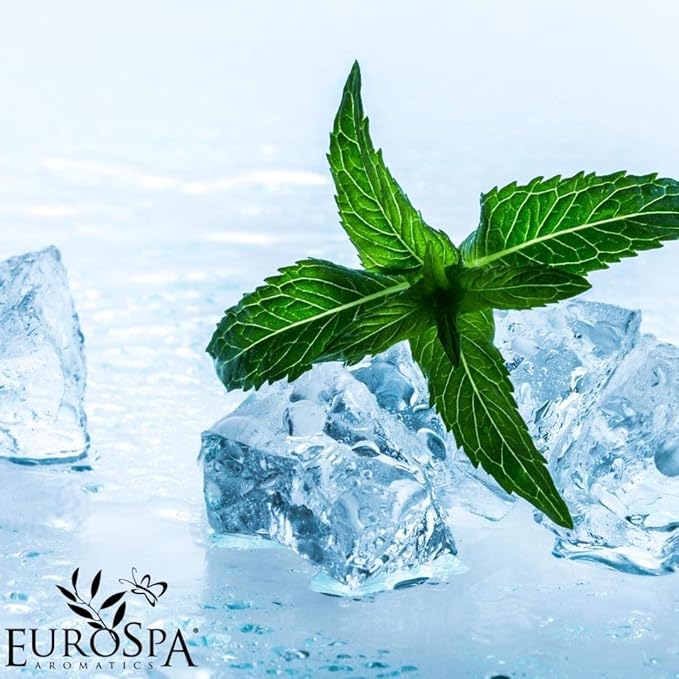 EuroSpa Aromatics Pure Eucalyptus Oil ShowerMist and Steam Room Spray, All-Natural Premium Aromatherapy Essential Oils - Mint Infused, 2oz