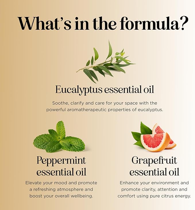Focus Essential Oil Blend for Diffusers - Aromatherapy Essential Oils Blend for Home and Travel Energy Focus and Attention Support with Grapefruit Bergamot Peppermint and Eucalyptus (2 Fl Oz)