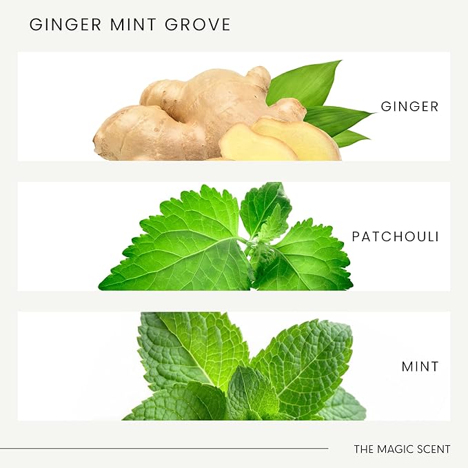 The Magic Scent Ginger Mint Grove Diffuser Oil - Hotel & Home Luxury Scents - Diffuser Oil Scents for Home Designed for Use in All Diffusers - 4 fl oz, 120 mL