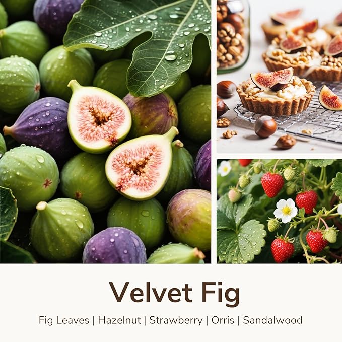Goodpick Velvet Fig Scented Candle, Soy Wax 22oz 120H Long Burning, Juicy Fig & Creamy Hazelnut, Home Aromatherapy Candles
