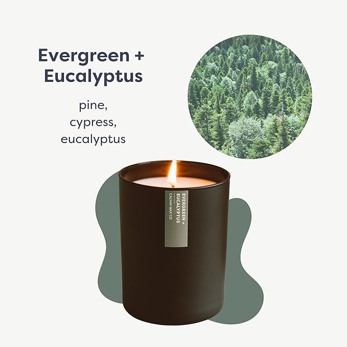 Calyan Wax Co. Evergreen & Eucalyptus Scented Candle - 75 Hour Burn - Luxury Non Toxic Soy Wax Candles - Long Lasting Black Tumbler Jar Candle for Home - 10.2oz