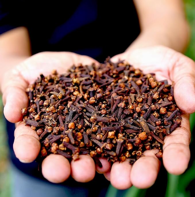 Clove Essential Oil - 100% Pure Steam Distilled Natural Aceite de Clavo from Indonesia for Aromatherapy & Wellness - Premium Grade (22lbs)
