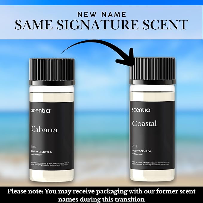 Scentia Hotel Diffuser Oil Inspired by 5-Star Hotel Scent - 50 mL 1.69 fl oz - Essential Oil Blend Botanical Jasmine, Bergamot & Fresh Marine Notes Aromatherapy Diffusers - Cabana, Thanksgiving Gift
