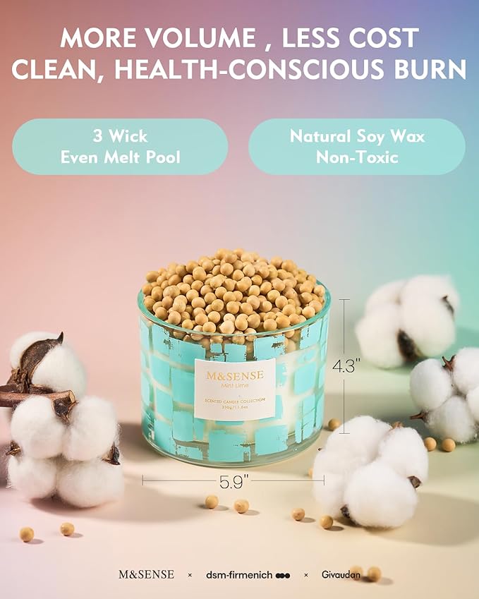 M&SENSE Mint Lime Scented Candle,11.6oz Natural Soy Wax Non Toxic for Home, 3 Wick Jar Candle, Up to 60 Hours Burn time, Stress Relief Candles for Women/Men