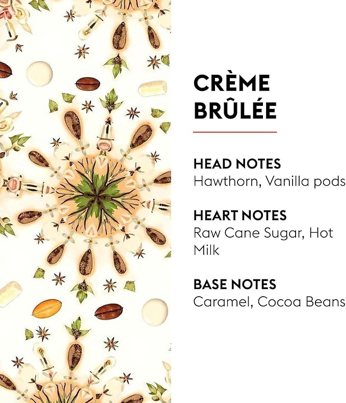Creme Brulee | Lampe Berger Fragrance Refill by Maison Berger | for Home Fragrance Oil Diffuser | Purifying and perfuming Your Home | 16.9 Fluid Ounces - 500 milliliters | Made in France