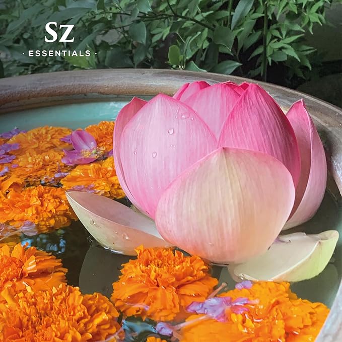 Pink Lotus 100% Pure, Essential Natural Oil - Extracted from Nymphaea Nucifera - Divine & Sweet Scent, with Exotic Floral Overtones - Therapeutic Grade & Vegan - 0.17oz (5ml)