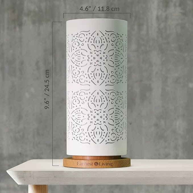 Earnest Living Waterless Diffuser 100ml Nebulizing Diffusion System for Studio Home Office Hotel Spa