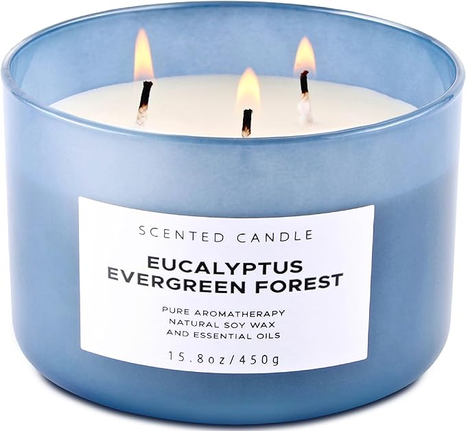 Eucalyptus Evergreen Forest 3-Wick Soy Candle, 15.8 oz | Winter Pine, Balsam Fir & Evergreen Scented Candle | Woodsy Aromatherapy Candle for Home | Clean Burn, Long-Lasting