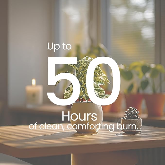 Natur IX Cleansing Scented Candles for Home | Sage & Palo Santo | Natural Non Toxic Soy Candles with Essential Oils | 50 H Long Burning | (Energy + Balance | Bergamot & Sage)