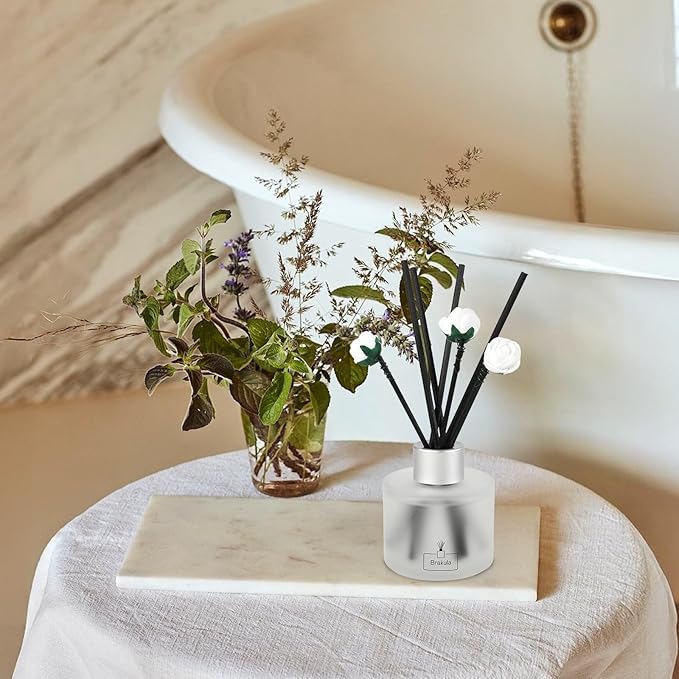 Brakula 2 Pack Reed Diffuser Set, Lavender Eucalyptus Scented, Home Fragrance with 14 Sticks Bathroom Decor, Reed diffusers for Home 6.76 fl oz (Lavender Eucalyptus)