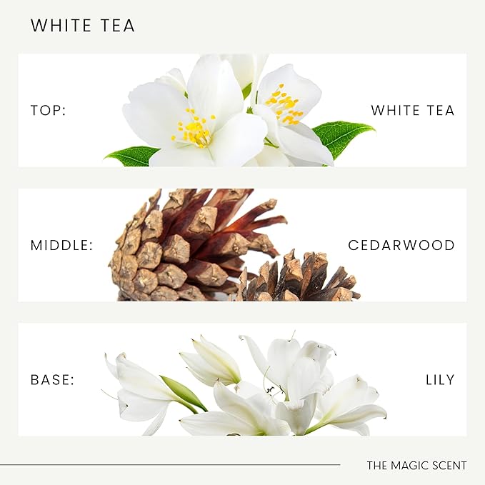 The Magic Scent White Tea Diffuser Oil - Hotel & Home Luxury Scents - Diffuser Oil Scents for Home Designed for Use in All Diffusers - 8.5 fl oz, 250 mL