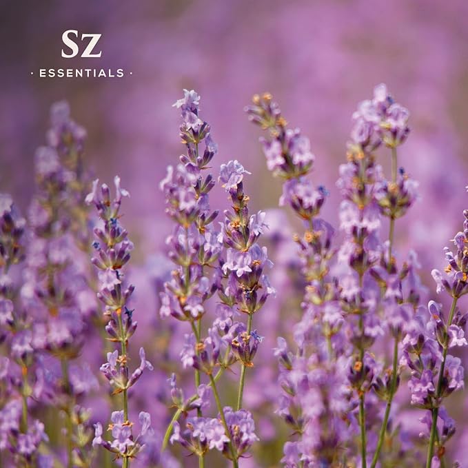 Kashmir Lavender Essential Oil – 100% Pure & Undiluted – Sweet Floral Scent for Relaxation, Aromatherapy, Self-Care, Natural Perfumery – Vegan & Therapeutic – 0.22 fl oz (6.5 mL)