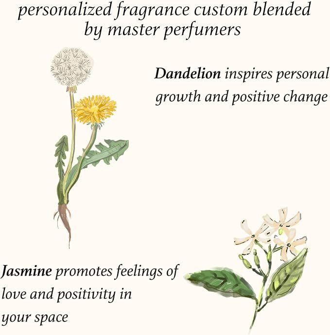February 6th Personalized Zodiac Candle | Inspirational Astrology Reading and Daily Affirmation for Your Birthdate | Handmade Aquarius Candles | Astrology Birthday Gifts for Women