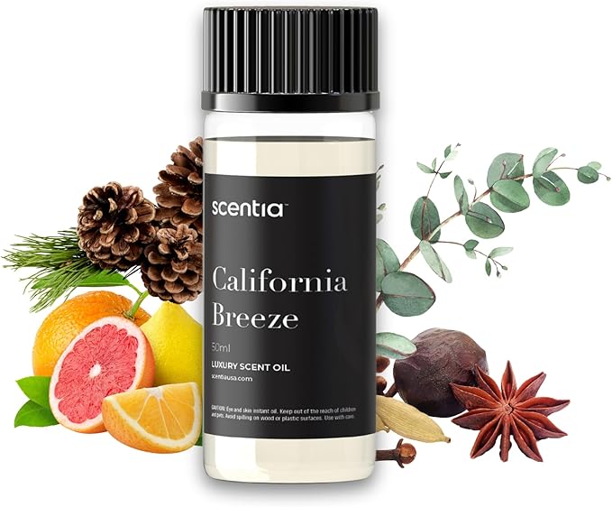 Scentia Hotel Diffuser Oil Inspired by The Delano Beach Club Hotel Scent - 50 mL 1.69 fl oz - Fragrance Oil Blend Orange, Green Tea for Aromatherapy Diffusers - California Breeze, Thanksgiving Gift