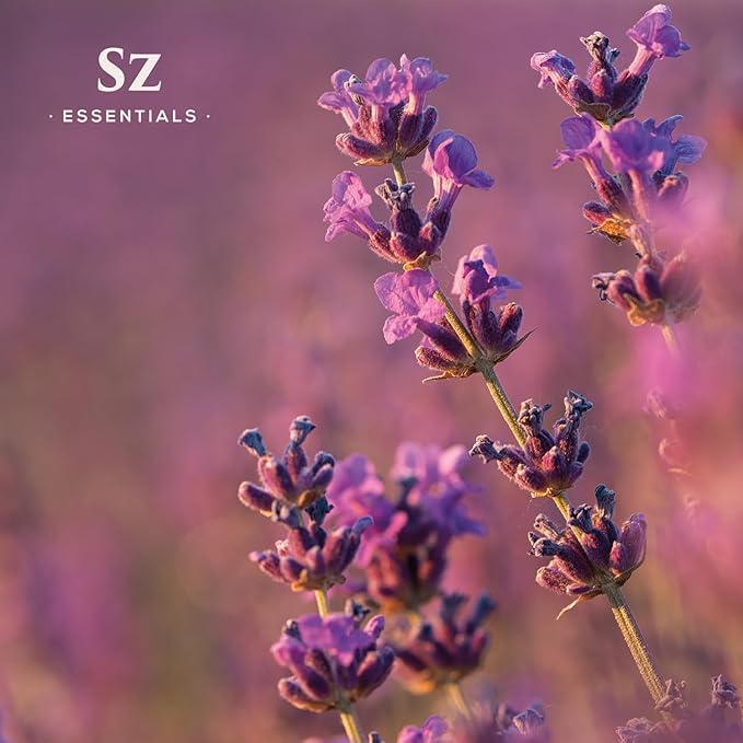 Grasse Lavender Essential Oil - France - Beautiful Floral Lavender Scent with Pine Notes - Lavandula stoechas - 100% Pure & Undiluted - Aromatherapy- Therapeutic Grade & Vegan 0.22 oz