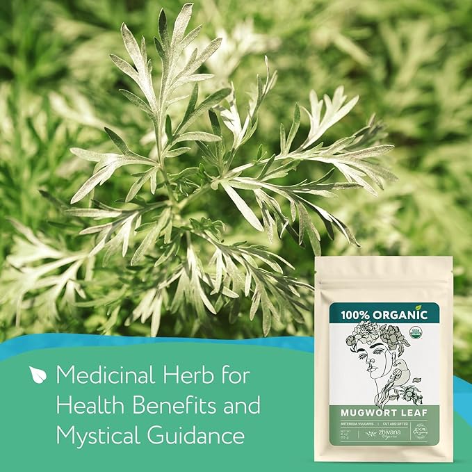 Mugwort Tea Organic Loose Leaf (4oz) – Mugwort Herb - Artemisia Hierba Seca Organica – Dried Mugwart Leaves