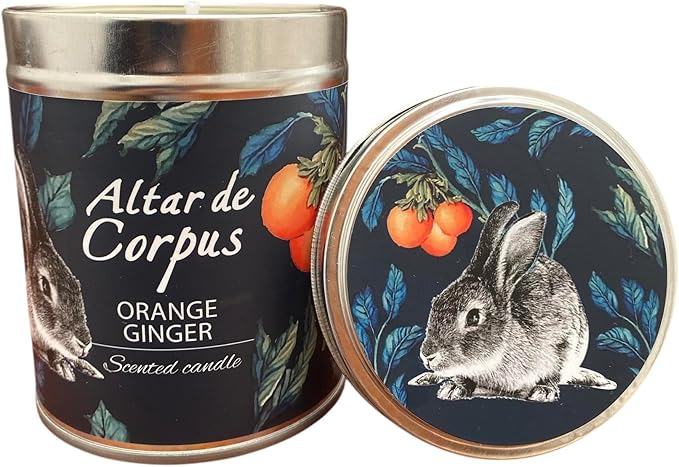14 Oz Strong Scented Candles Long Lasting – Orange Ginger Candle - High End Luxury Candles for Home - Cute Candles for Women - Soy Wax Premium Blend - Decorative Candle for Men Gifts