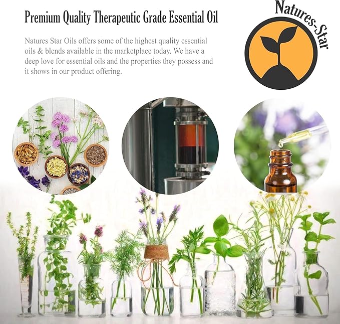 16 oz - Eucalyptus Essential Oil - 16 Fl Oz (Pack of 2)