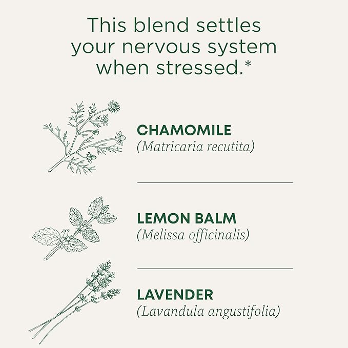 Traditional Medicinals Tea, Organic Chamomile & Lavender, Stress Relief, 48 Tea Bags