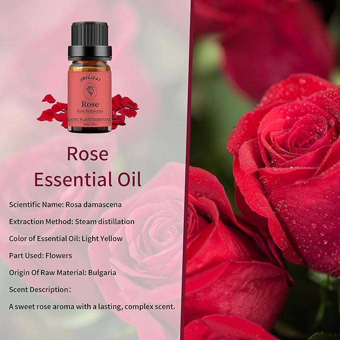 yethious Rose Jasmine Chamomile Essential Oil Set Organic 100% Pure Aromatherapy Oil for Diffuser, Soap, Candle Making 3 X 10ML