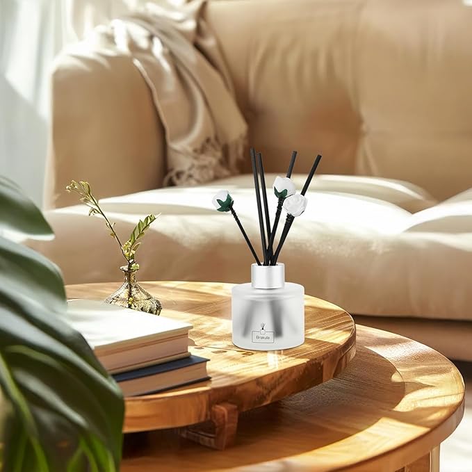 Brakula 2 Pack Reed Diffuser Set, Eucalyptus & Wild Mint Scented, Home Fragrance with 14 Sticks Bathroom Decor, Reed diffusers for Home 6.76 fl oz (Eucalyptus & Wild Mint)