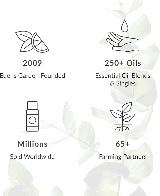 Edens Garden Essential Oils Home Aroma 6 Set – 100% Pure Therapeutic Grade, Natural & Fragrance Oil Free Aromatherapy Scents - Oil for Candle Making, Diffusers & Home Relaxation, 10 ml/ 6 Pack