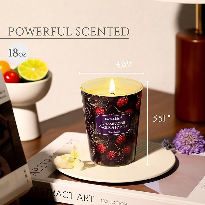 HomeLights Scented Candles for Women & Men, 6.7oz Candle Jars Aromatherapy Single Wick Candle, Ideal for Eclectic Mixed Styles Home Decor and Gifts, Champagne Cassis & Honey