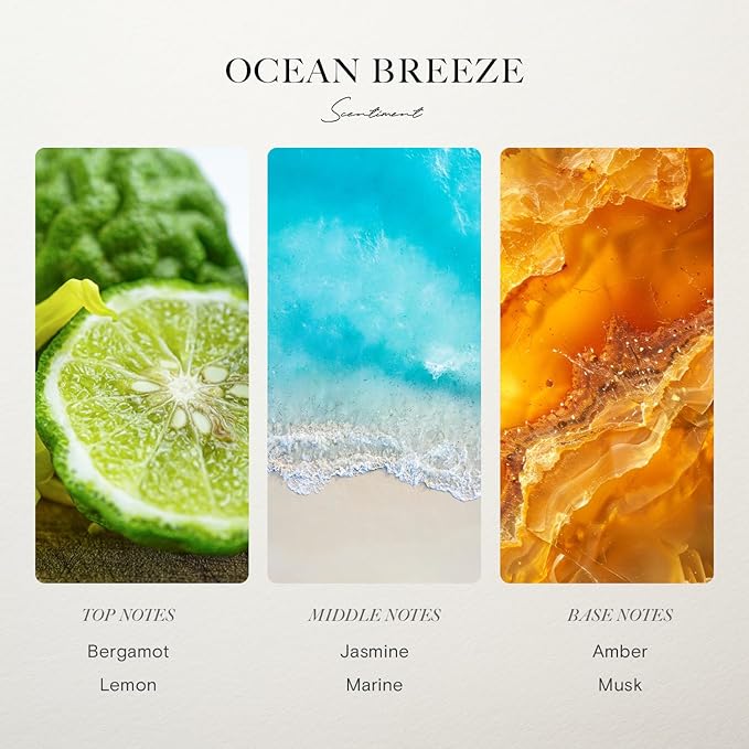 Scentiment Diffuser Oil - Ocean Breeze | Inspired by Five Star Hotels' Lobby Scent | Luxurious Scent with Notes of Bergamot, Lemon, Jasmine with Marine & Amber (120ml)