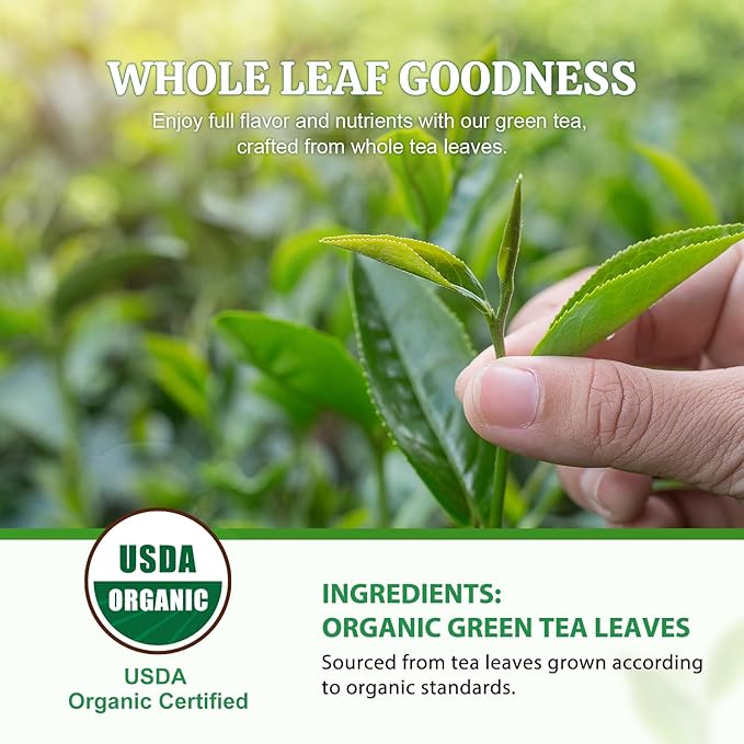 Soeos Organic Green Tea, 6.3 oz (180g), 100 Tea Bags, Refreshing and Fragrant, Sustainably Sourced, Ideal for Hot or Iced Tea, Long-Lasting Freshness