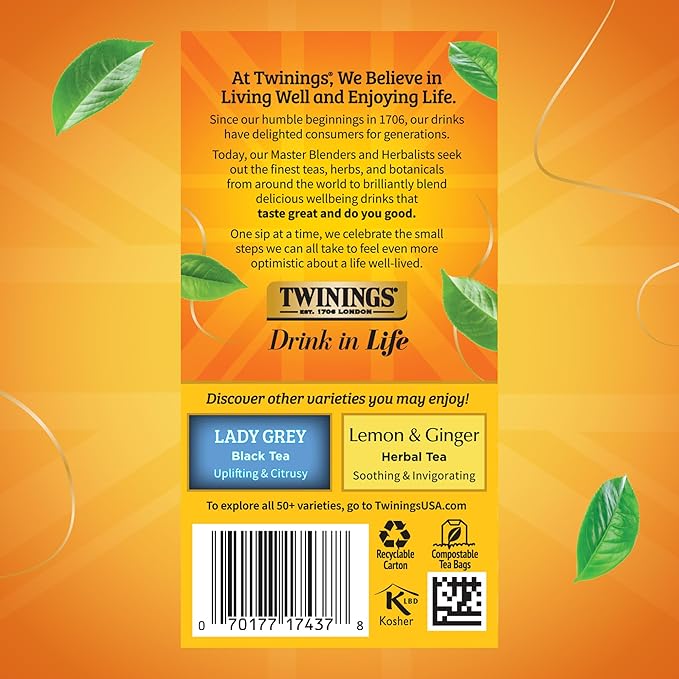 Twinings Earl Grey Extra Strong Black Tea Individually Wrapped Bags, 20 Count (Pack of 6), Flavoured with Citrus and Bergamot, Caffeinated, Enjoy Hot or Iced, 120 Teabags