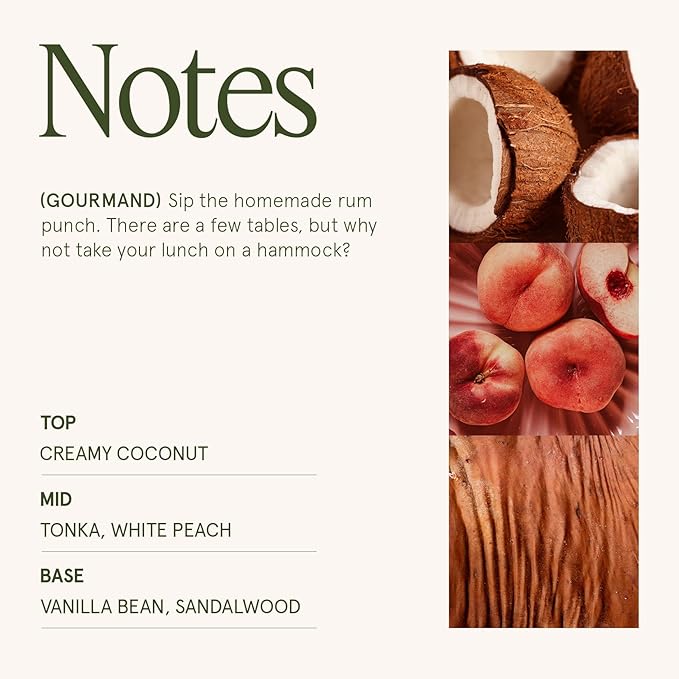 LA JOLIE MUSE Vanilla Coconut Candle – Coconut, Freesia & Vanilla | 19 oz Large Wooden Wick Candle | Natural Soy Wax | 90 Hours Clean Burn | Gift-Ready for Hosts & Gatherings | Elegant Home Décor